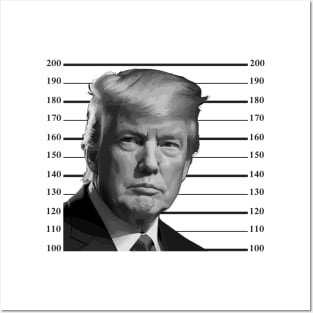 trump mugshot Posters and Art